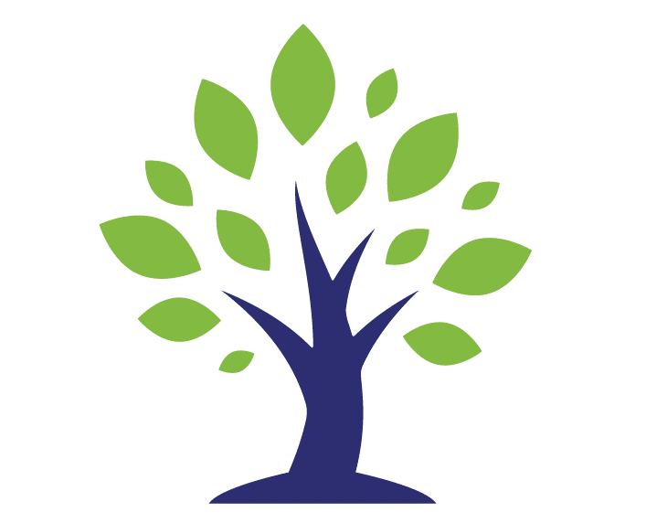 SETHS SETHS logo