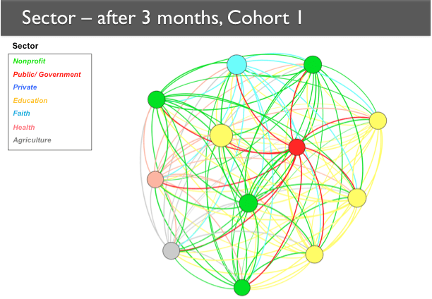 After 3 months, Cohort 1 A network map showing Cohort 1 after three months. The nodes form a more circular pattern as compared to baseline, and there are many more relationships among them.