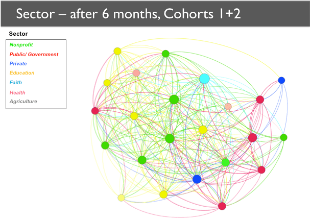 A network map showing Cohorts 1 and 2 after six months. The network has expanded to include more members, most notably in the private sector and in the public/government sector.