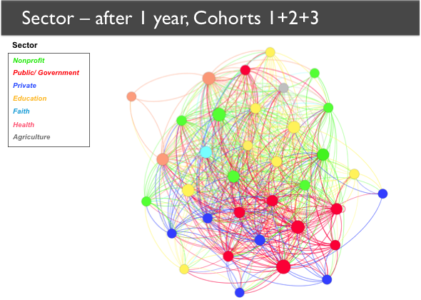 A network map showing Cohorts 1, 2, and 3 after one year. Several nodes have clear positions at the periphery. Network members within the same sector tend to group together.
