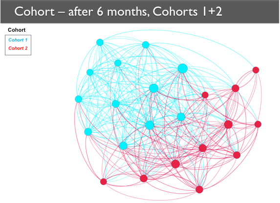 A network map of Cohorts 1 and 2 with the nodes categorized according to their cohort through color coding. Cohort 1 nodes are generally together on one side, with Cohort 2 nodes together on the other side.
