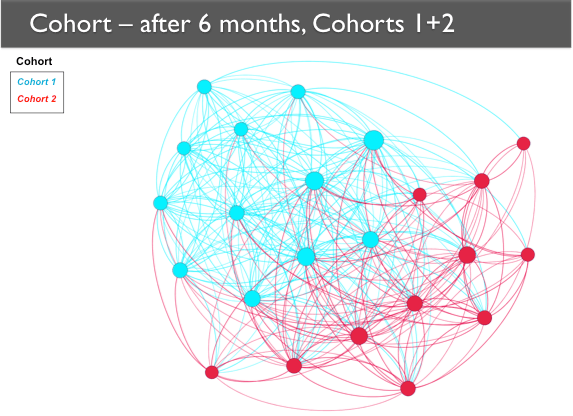 After 6 months, Cohorts 1+2 A network map of Cohorts 1 and 2 with the nodes categorized according to their cohort through color coding. Cohort 1 nodes are generally together on one side, with Cohort 2 nodes together on the other side.