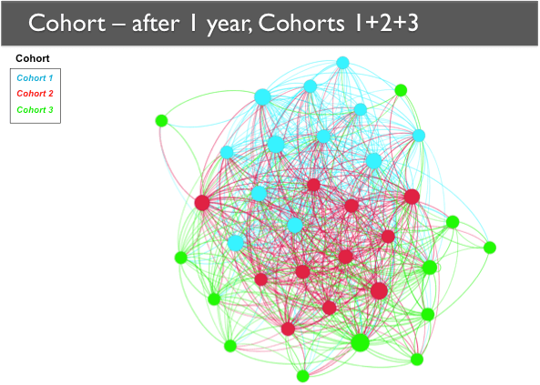 A network map showing Cohorts 1, 2, and 3 after one year. The nodes are still generally grouped by cohort, with Cohort 3 nodes mainly on the periphery.