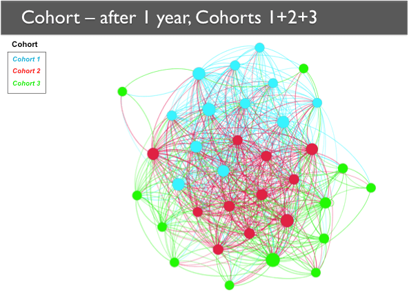 After 1 year, Cohorts 1+2+3 A network map showing Cohorts 1, 2, and 3 after one year. The nodes are still generally grouped by cohort, with Cohort 3 nodes mainly on the periphery.
