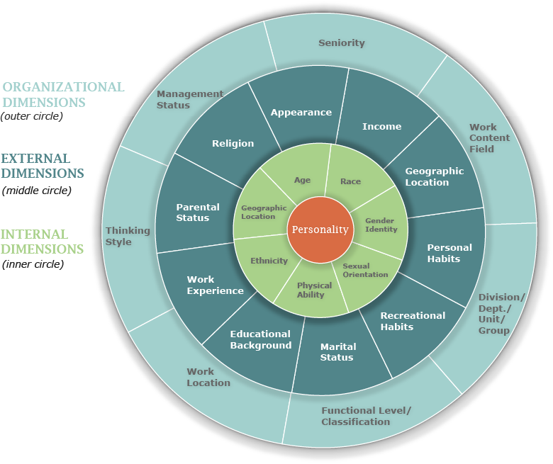 Four concentric circles representing the layers of diversity. Personality is the innermost layer, followed by internal dimensions, external dimensions, and finally organizational dimensions at the outermost layer.