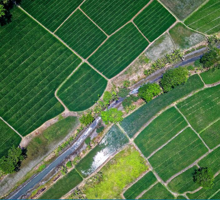 Birds-eye-view of rural land