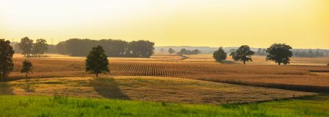 Rural Landscape