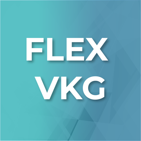 Flex VKG Teaser