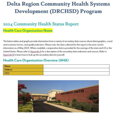 Screenshot of the 2024 Community Health Status Report Template