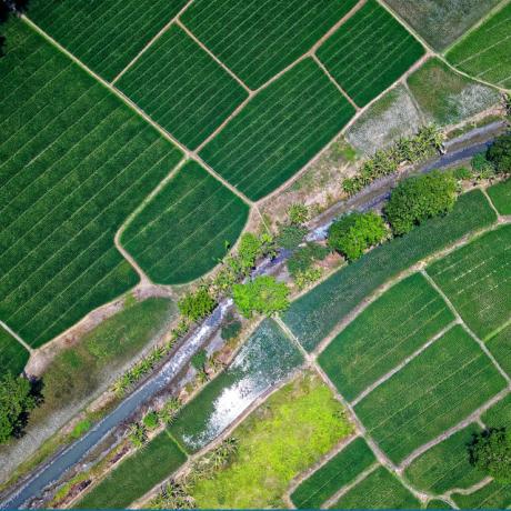 Birds-eye-view of rural land