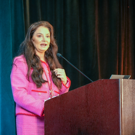 Carmen speaking at the DRCHSD Summit.